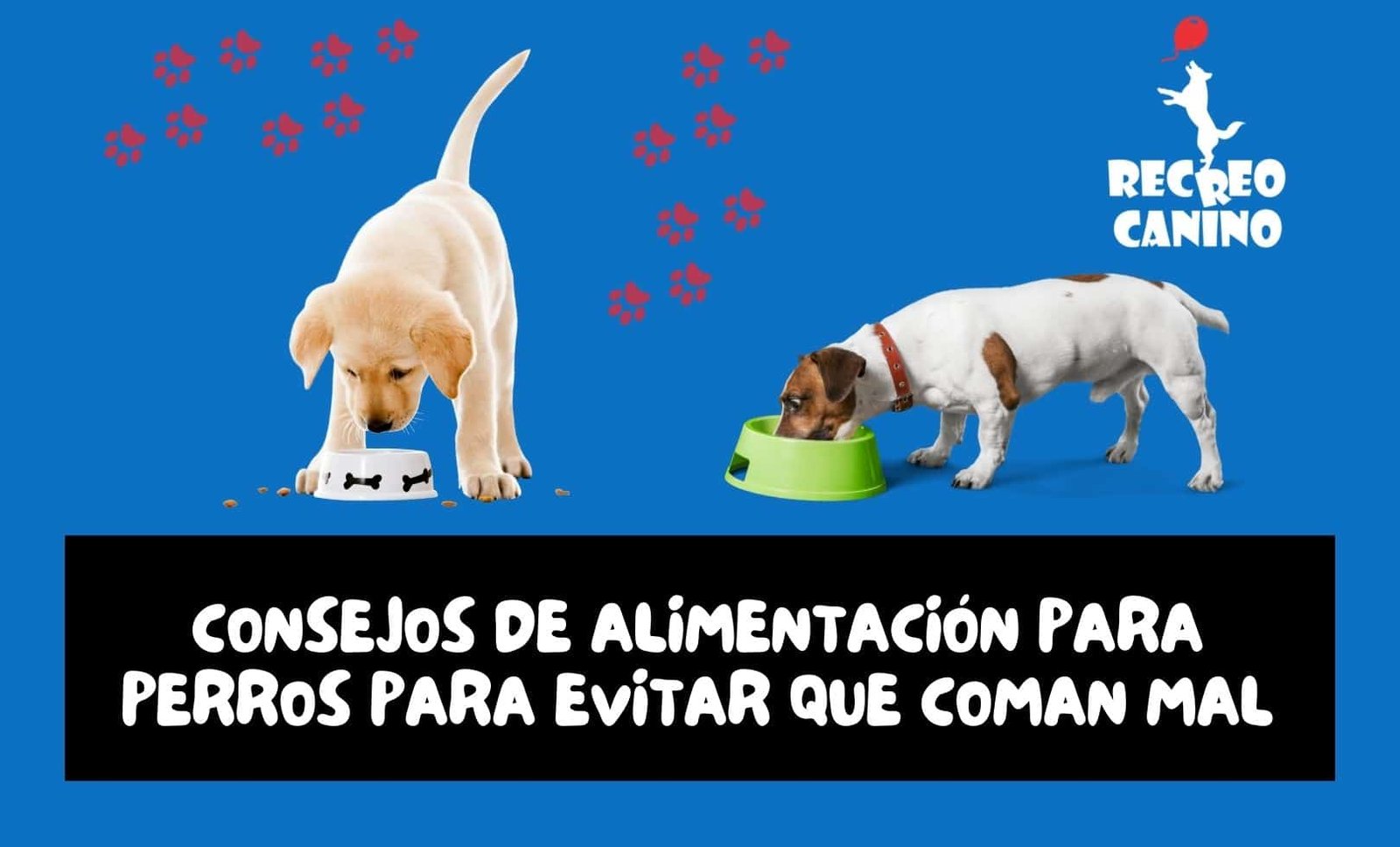 la purina es mala para los perros