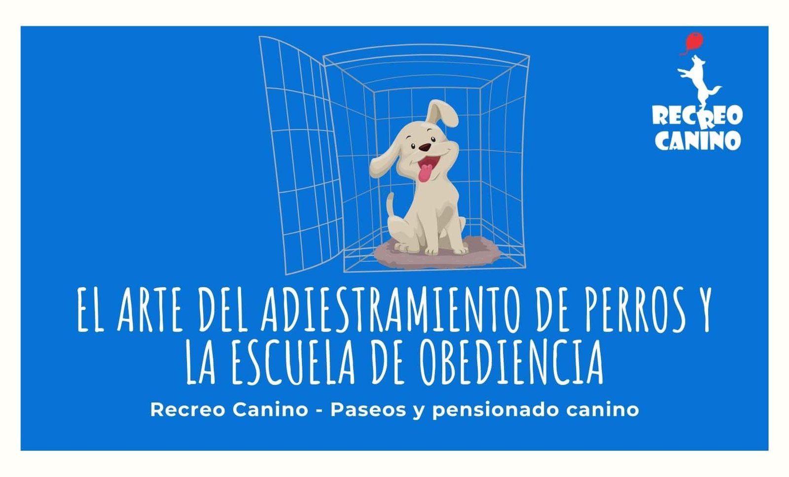 a que edad deben ir los perros a la escuela de obediencia