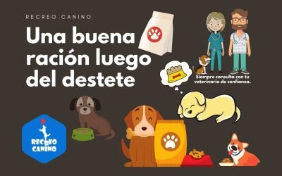 %%PASEOS CANINO Y PASEOS DE PERROS%% El porqué de una buena ración para nuestro perro