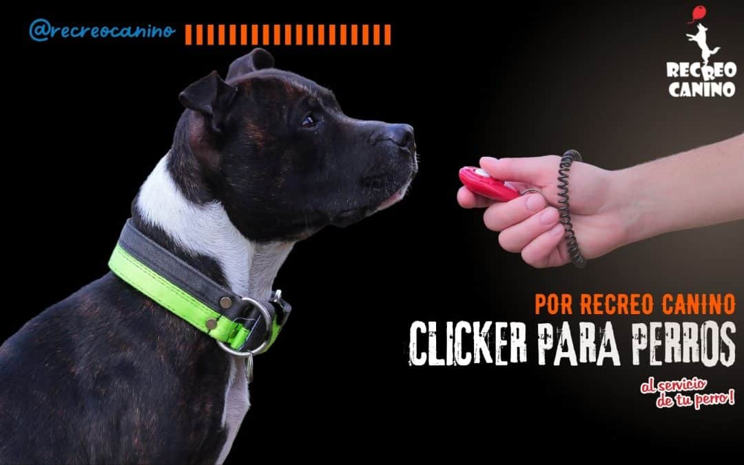 Clicker para perros