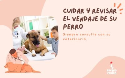 %%PASEOS CANINO Y PASEOS DE PERROS%% Vendar a su perro