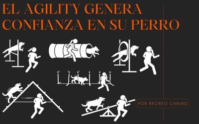 %%PASEOS CANINO Y PASEOS DE PERROS%% El Agility genera confianza en su perro