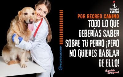 %%PASEOS CANINO Y PASEOS DE PERROS%% Todo lo que deberías saber sobre tu perro – ¡pero no quieres hablar de ello!