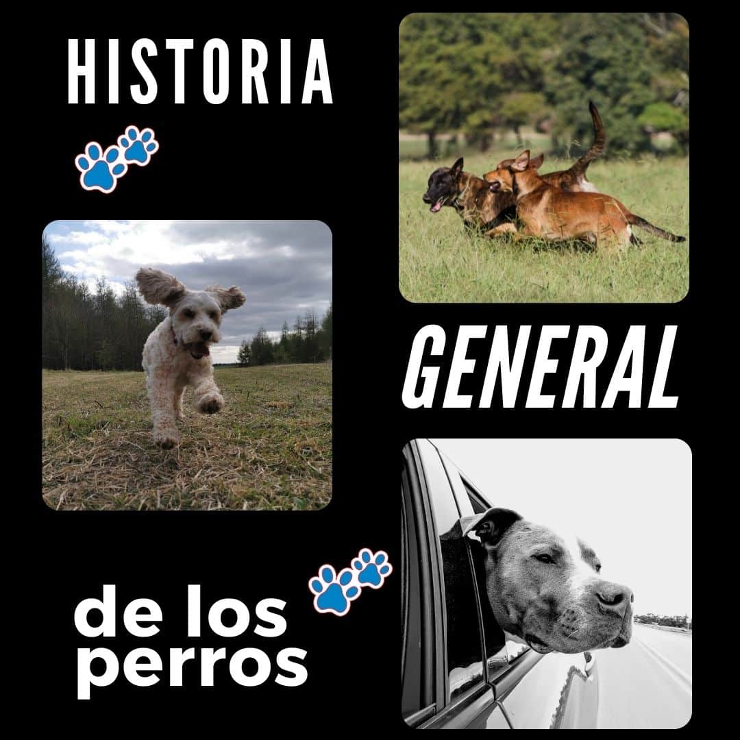 Historia general de los perros