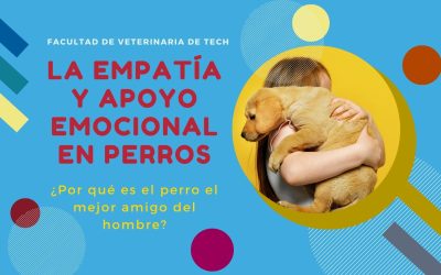 La empatía y apoyo emocional en perros