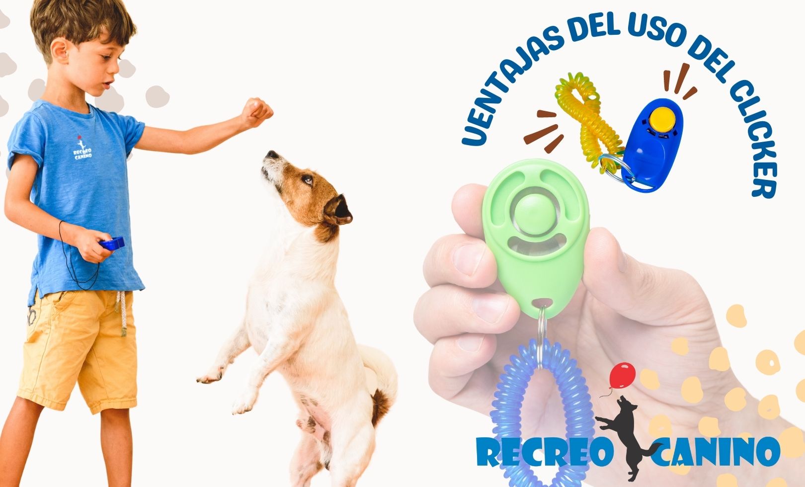 Ventajas del uso del clicker por recreo canino paseo de perros de ciudad