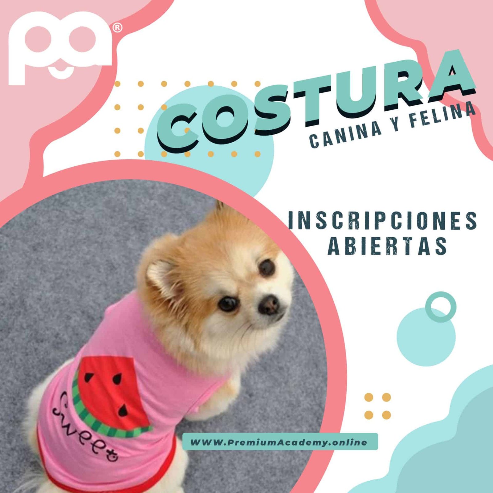 Curso costura canina y felina Curso costura para perros y gatos