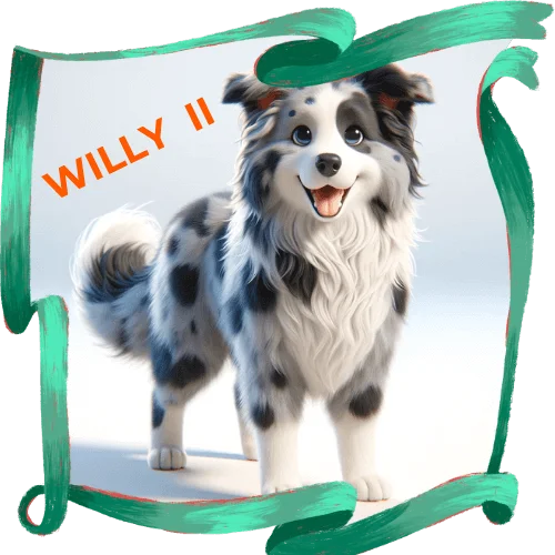 WILLY II HOME PASEADOR DE PERROS