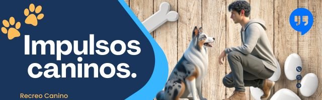Impulsos caninos Impulsos caninos