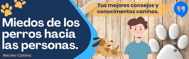 Miedos de los perros hacia las personas Miedos de los perros hacia las personas