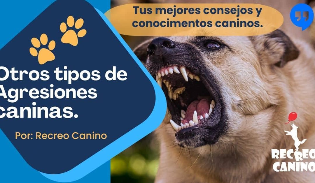 Los otros tipos de agresiones caninas.