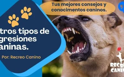 Los otros tipos de agresiones caninas.