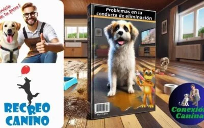 ¿Por Qué Mi Perro Orina en Casa? Descubre las 5 causas Principales y Sus Soluciones.