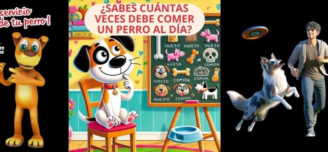 ¿Cuánto debe comer mi perro al día?