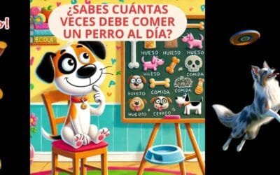 ¿Cuánto debe comer mi perro al día?