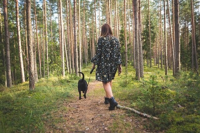 %PASEOS CANINO Y PASEOS DE PERROS%