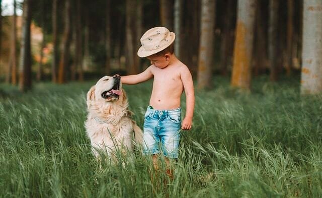 %PASEOS CANINO Y PASEOS DE PERROS%