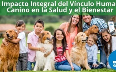 El Impacto Integral del Vínculo Humano-Canino en la Salud y el Bienestar