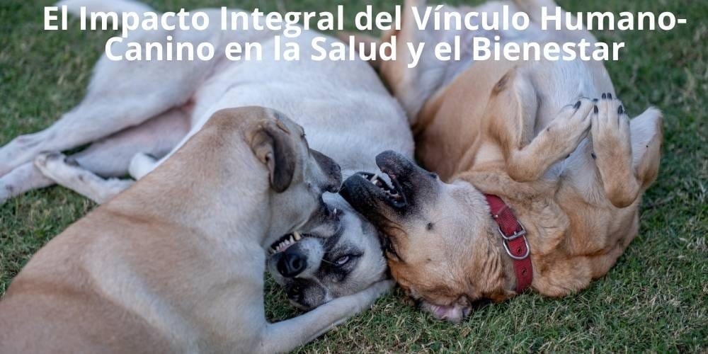 Paseo Grupal Estructurado